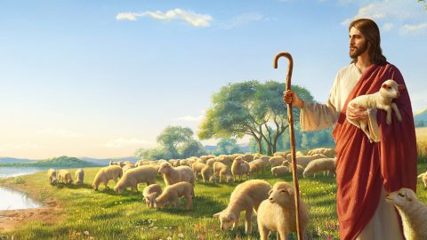 ฉันได้เชื่อในองค์พระเยซูเจ้ามาหลายปี และแม้ว่า ฉันตระหนักรู้ว่า องค์พระเยซูเจ้าคือพระเจ้าผู้ทรงบังเกิดเป็นมนุษย์ แต่ฉันก็ไม่เข้าใจความจริงอย่างครบถ้วนเกี่ยวกับการทรงจุติเป็นมนุษย์  หากว่าตอนที่พระผู้เป็นเจ้าทรงกลับมา พระองค์ทรงปรากฏดังที่องค์พระเยซูเจ้าได้ทรงปรากฏจริงๆ โดยทรงพระราชกิจในฐานะบุตรมนุษย์ เช่นนั้นแล้วก็คงจะเป็นไปไม่ได้ที่พวกเราจะระลึกได้ว่าเป็นพระองค์ หรือถวายการต้อนรับการเสด็จมาของพระองค์  ฉันรู้สึกว่าการทรงจุติเป็นมนุษย์เป็นข้อล้ำลึกประการหนึ่ง และมีผู้คนเพียงหยิบมือเดียวเท่านั้นที่เข้าใจความจริงของการทรงจุติเป็นมนุษย์  กรุณาสามัคคีธรรมกับฉันว่า การทรงจุติเป็นมนุษย์นั้นคือสิ่งใดกันแน่